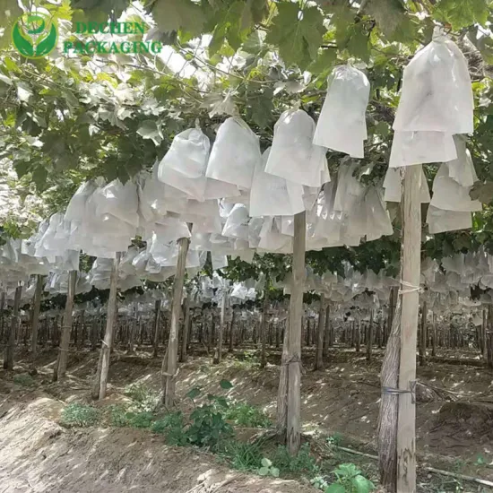 果物の害虫駆除用の特別な保護バッグ 屋外用ブドウ マンゴー用の耐紫外線性植物成長バッグ